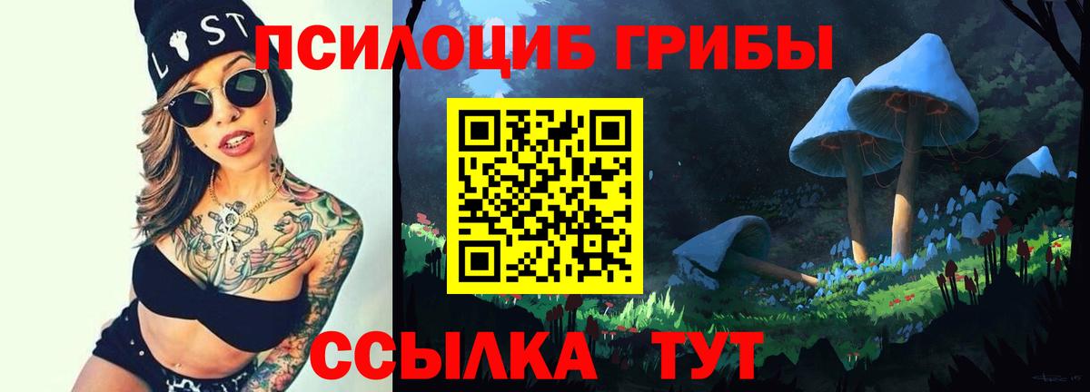Ялта  Псилоцибиновые грибы мицелий  Вход с VPN 